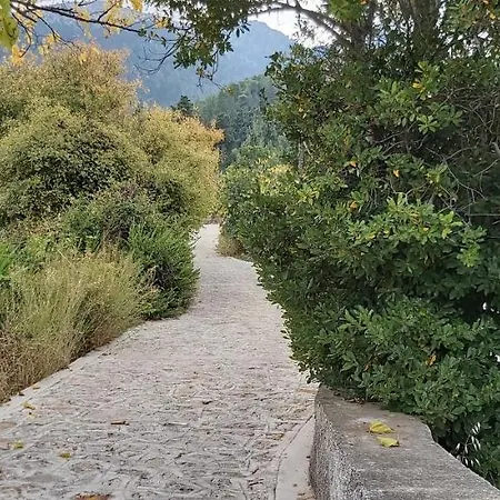Traditional House In Asfendiou Вилла *