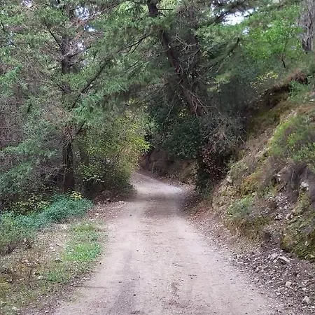 Villa Traditional House In Asfendiou